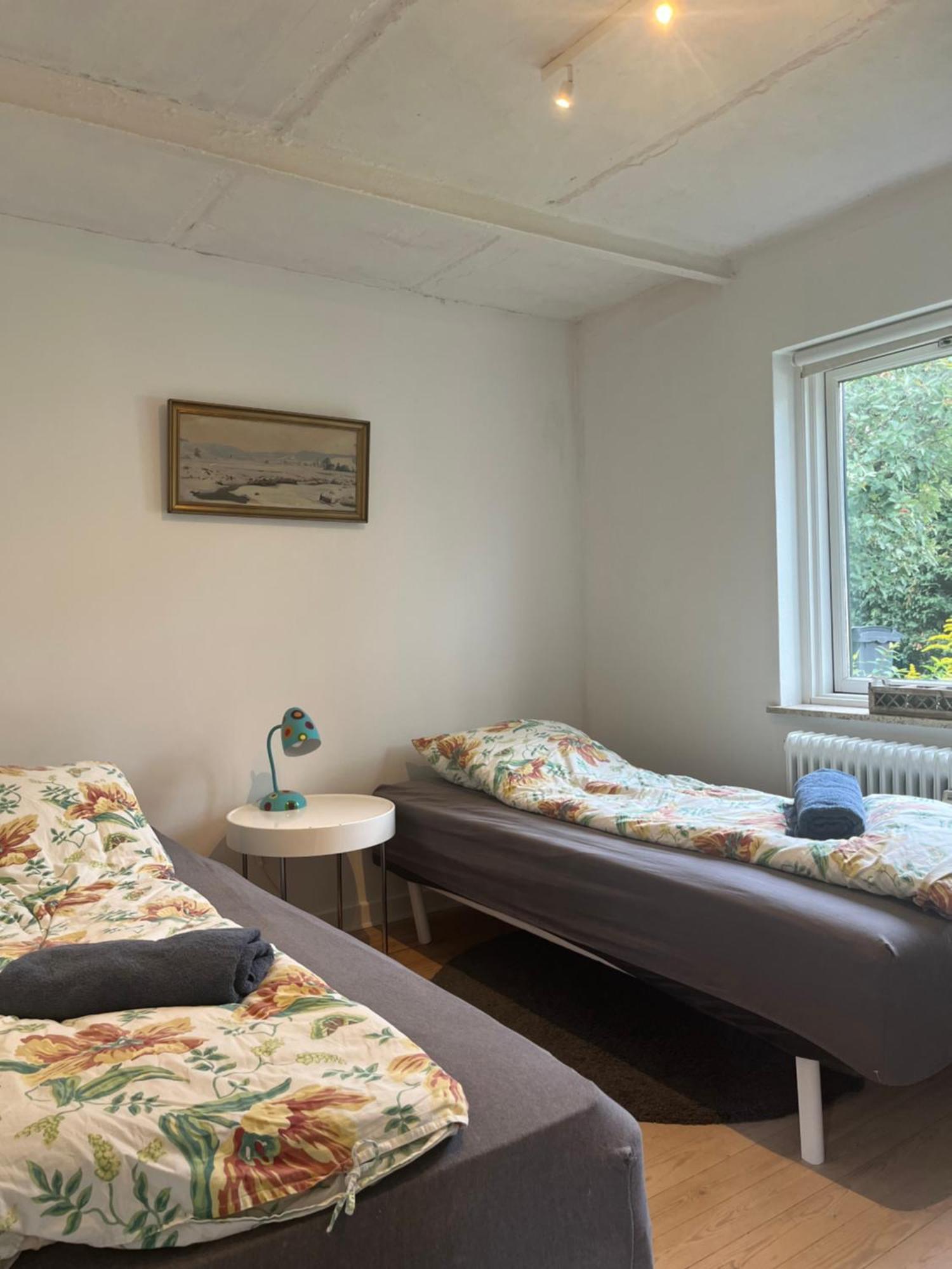Appleflower Farm Retro Apartment Lillerod Екстериор снимка